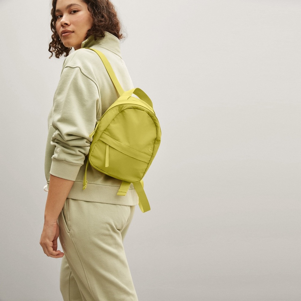 Everlane Mini Backpack